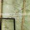 CE Certificate Wall Cladding Stone Translucent Jade Green Onyx Marble Slabs