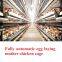Fully automatic egg laying mother chicken cage