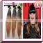 2014 hot Fashion 100% remy brazilian ombre micro ring loop bundles hair weaves 1B/33