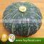 2016 Manufactory Fresh Pumpkin for export