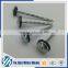 Eco-friendly  supplier brass roofing nails supplier                        
                                                                                Supplier's Choice