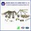 Dongguan fastener manufacturer offering all kinds of screws