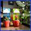 Decorative Cheap Flower Plant Pot/Cloud Rainy Pots