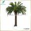 hot sale plastic potted artificial cycas revoluta tree for sale