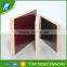 eucalyptus Core Film Faced Plywood for Construction Usage