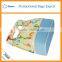Cooler bag for food insulated bag for frozen food picnic cooler bag