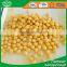 best price!!canned chick peas 300g 340g 400g 425g 3000g