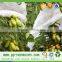 PP spunbond roll fabric nonwoven fabric fruit cover