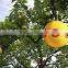 bird scarer ball