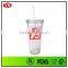 Bpa Free 20oz Plastic Double Wall Cold Cup With Straw