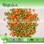 Bulk canned mixed vegetables with carrot and green peas