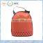 Orange Insulated Cooler tote bag