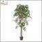 2016 Artificial Green ficus tree plant /beautiful green ficus/factory Artificial ficus wholesale