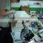 Biology microscope slides microbiology microscope slides