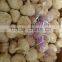 New Crops Fresh Garlic White 4.5cm-6.0cm Jingxiang Shandong Province
