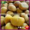 2016 New Price Organic Roasted Frozen Peeled Chestnut