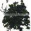 2016 Dried wakame leaves cut (undaria pinnatifida)