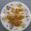 Freeze Dried Apricot Dice