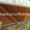 High Quality Wind Resistance Polycarbonate Sheet Greenhouses