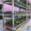 A37 Vegetable seedings plant trolley container