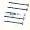 Manufacture high quality low price coil nails type common nail iron nail factory