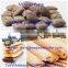 High Quality Core-Filling Snack Making Machine