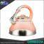 Factory Price Single And Double Bottom Travel Stainless Steel Tea Kettle With Colorful Coating