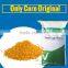 Supply Corn Gluten meal Powder With Competitive Price