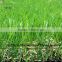 SJ7777 artificial grass turf, pe pp garden grass faux turf
