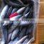 Frozen Fish Import Frozen Mackerel