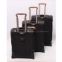 supply 2 wheel luggage,3 piece set luggage,trolley bag