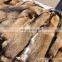 Factory wholesale raccoon skins