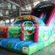 Hot Sale Inflatable Used Party Jumpers for Sale