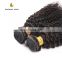 Vigin malaysian brazilian hair afro kinky curly remy hair weave
