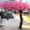 2.5 meter height artificial crooked  trunk peach fruit tree