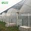 Multispan Plastic Film Greenhouse With Intelligent Control System For Sale