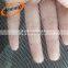 Greenhouse plastic anti insect net fiberglass insect nets for sale