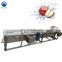 fruit and vegetable cleaning machine fruit washing equipment vegetable bubble washing machine