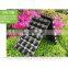 black plastic cell seeding and nursery seed sprouter tray