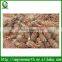Cycas revoluta bare root 20-40cm trunk (2)