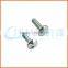 China supplier security screws (anti-theft screws)