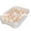 New Arrival Transparent Household Sundries Plastic Egg Storage Box