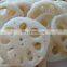 Frozen Organic Lotus Root slices /Frozen vegetable frozen sliced lotus root made in Vietnam