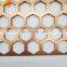 Aluminum 3mm copper anodized hexagonal perforated metal screen factory