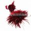 wholesale rooster feathers bulk Red color feather cock saddles                        
                                                Quality Choice