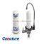Canature Counter-Top Water Filter; Kitchen water filter; China traditional "Qinghua" flower design;