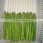 frozen green asparagus cuts