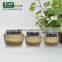Easy to use , upper high end cosmetic mason jar 15g for serum
