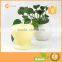 Luminara Candle In Jar Shape With Natural Yellow Light Waterproof LED Candle