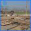 Customized Timber mill wood logs